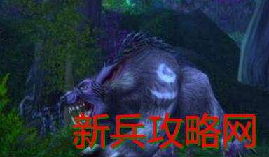 魔兽世界乌萨苟斯的爪子任务