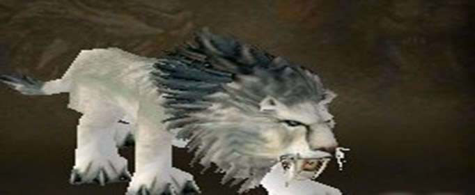 魔兽世界怀旧服埃其亚基的号角怎么使用-埃其亚基的号角使用攻略