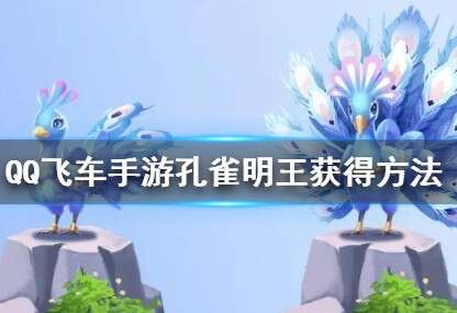 QQ飞车手游孔雀明王怎么获得-孔雀明王获得方法