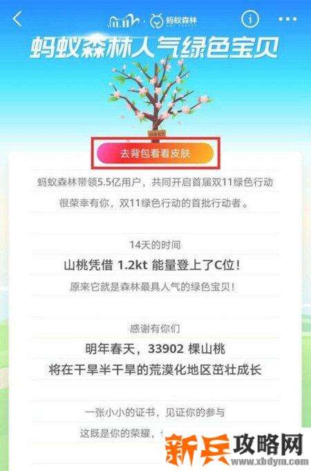 山桃皮肤怎么领