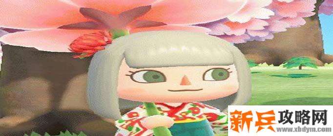 集合啦动物森友会樱花家具图纸怎么获得-樱花家具图纸获得方法 集合啦动物森友会樱花家具图纸怎么获得-樱花家具图纸获得方法