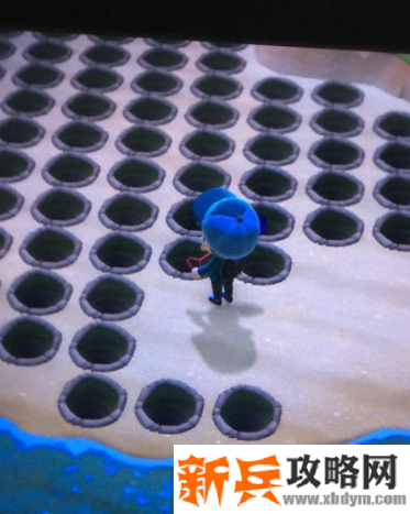 集合啦动物森友会怎么挖蛤蜊-高效挖蛤蜊方法介绍