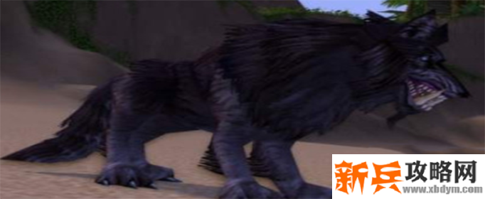 魔兽世界怀旧服兽人坐骑在哪购买-兽人坐骑购买位置介绍