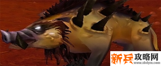 魔兽世界怀旧服金色猪在哪-金色猪捕捉位置介绍 魔兽世界怀旧服金色猪在哪-金色猪捕捉位置介绍