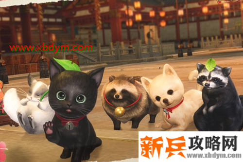 《剑网3》一甲跟宠获得方法