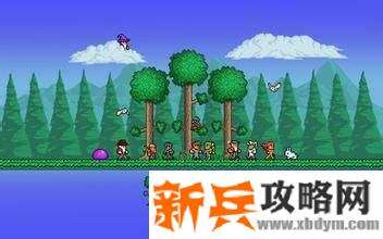 泰拉瑞亚ufo获得方法 泰拉瑞亚ufo获得方法