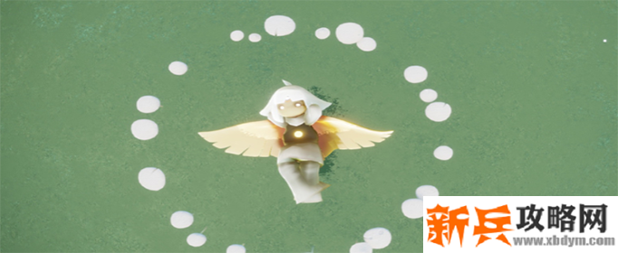 光遇蘑菇圈在哪刷新-蘑菇圈刷新位置和时间介绍