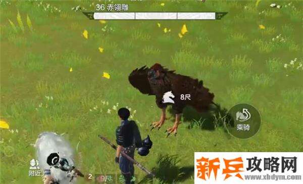 妄想山海宠物怎么吞噬异兽-宠物吞噬异兽攻略