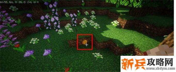 我的世界怎么采集蜜脾-蜜脾采集方法 我的世界怎么采集蜜脾-蜜脾采集方法