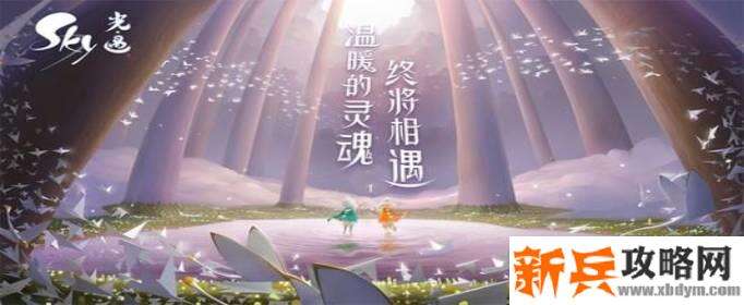 光遇夏威夷印花斗篷在哪-夏威夷印花斗篷获得方法