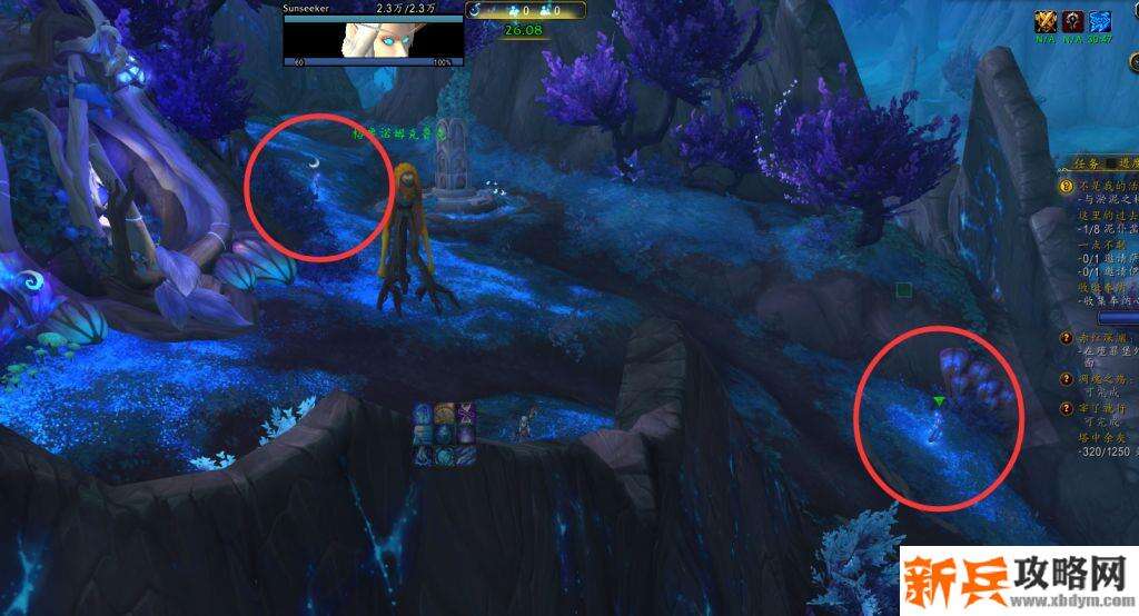 9.0月光蓓蕾快速寻找方法