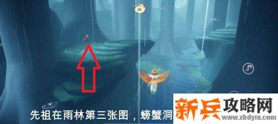 看到一个树洞，飞过去