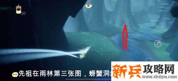 从树洞所在地往前方看