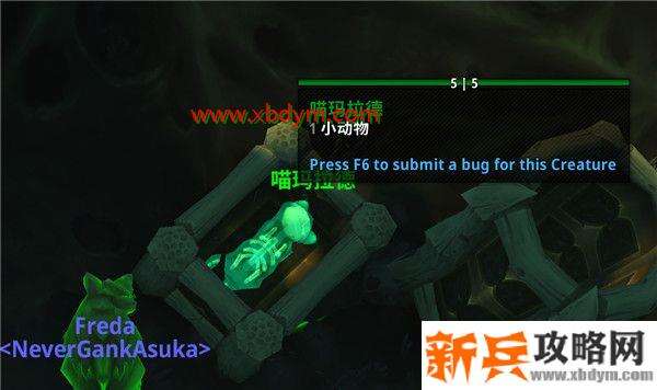 魔兽世界9.0亡命九条成就完成攻略 魔兽世界9.0玛卓克萨斯9只果冻猫位置