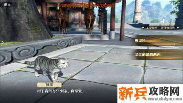 天涯明月刀手游猫之友奇遇怎么做 天涯明月刀手游奇遇任务猫之友完成攻略