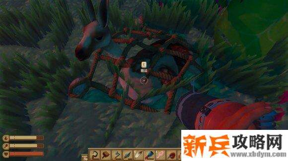 木筏求生《Raft》wiki资料