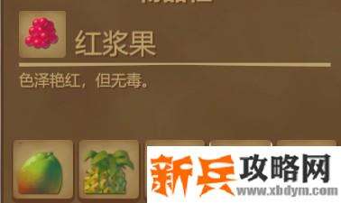 木筏求生《Raft》糖渍水果怎么做？