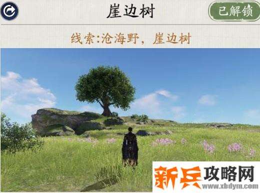 天涯明月刀手游胜景录侠客岛坐标位置攻略