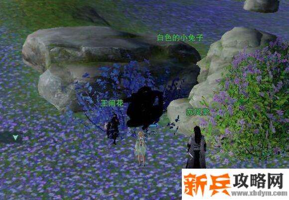 剑网三新奇遇宠物【白月皎】图文攻略