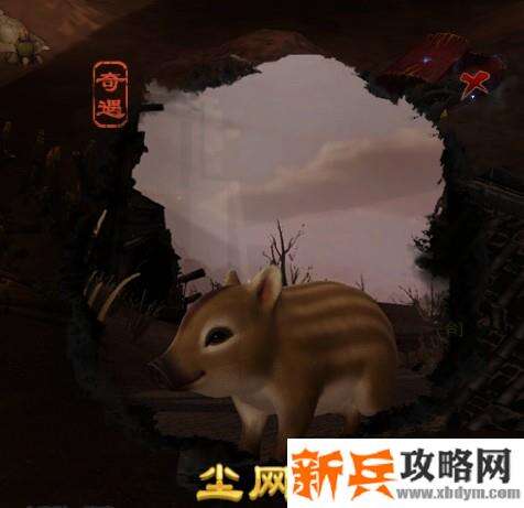 剑网三宠物奇遇【尘网中】图文攻略