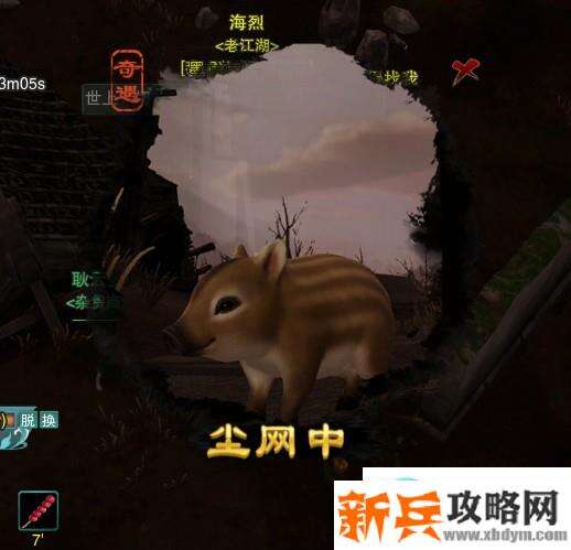 剑网三尘网中新宠物奇遇攻略