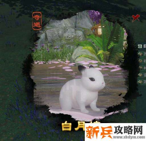 剑网三白月皎奇遇宠物攻略