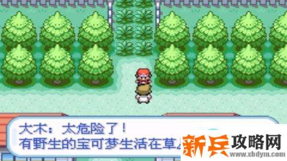 口袋妖怪火红图文攻略大全