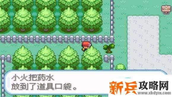 口袋妖怪火红图文攻略大全