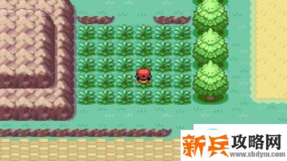 口袋妖怪火红图文攻略大全