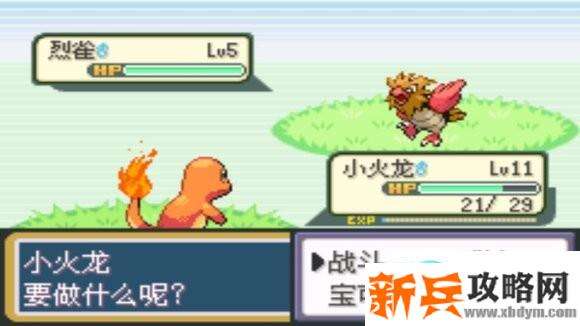 口袋妖怪火红图文攻略大全