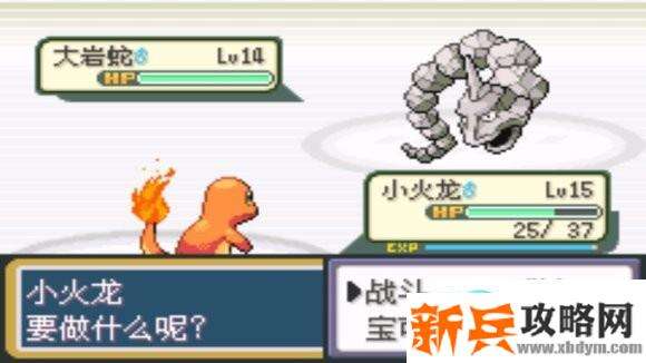 口袋妖怪火红图文攻略大全