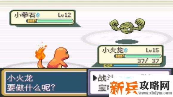 口袋妖怪火红图文攻略大全