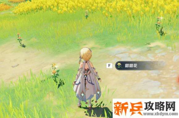 原神《Project》骗骗花隐藏位置在哪？