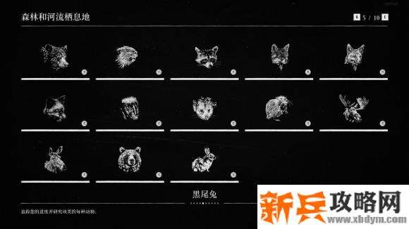 荒野大镖客2《RedDeadRedemption2》博物学动物图鉴100%收集攻略