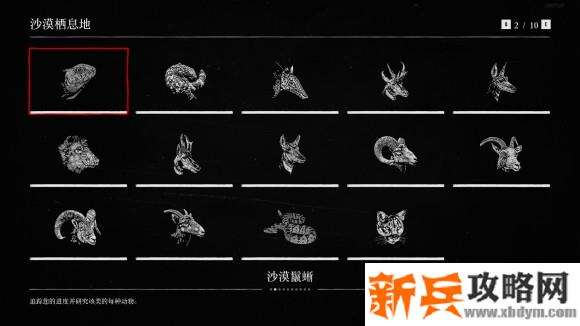 荒野大镖客2《RedDeadRedemption2》博物学动物图鉴100%收集攻略