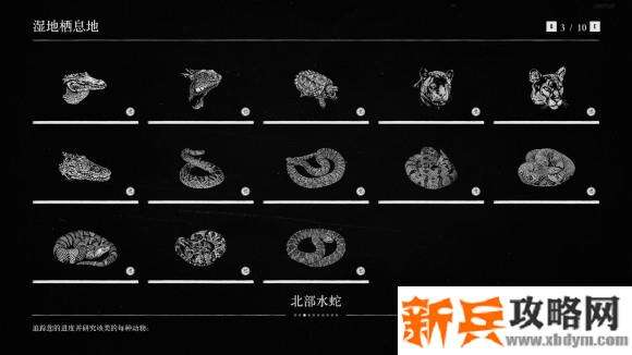 荒野大镖客2《RedDeadRedemption2》博物学动物图鉴100%收集攻略