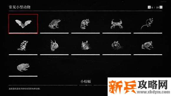 荒野大镖客2《RedDeadRedemption2》博物学动物图鉴100%收集攻略