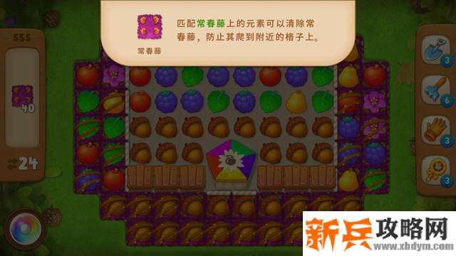 梦幻花园第555关怎么过？ 梦幻花园攻略第555关