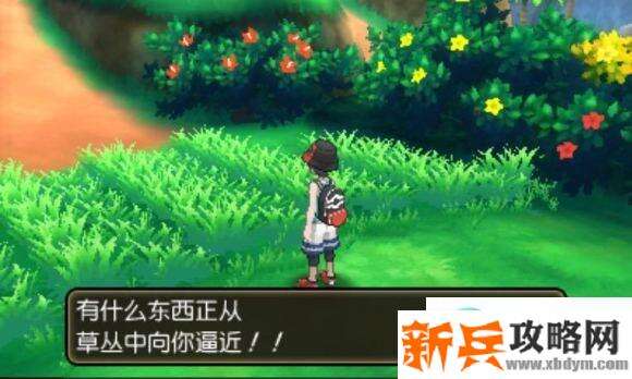 口袋妖怪究极日月攻略一周目图文攻略