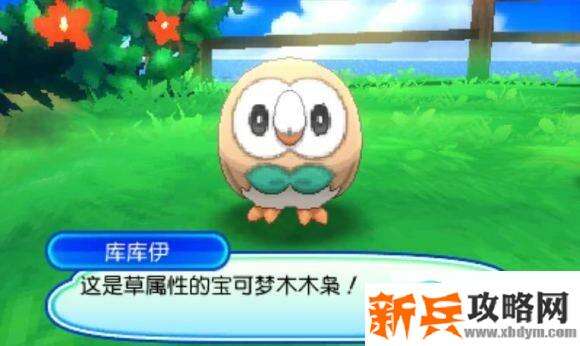 口袋妖怪究极日月攻略一周目图文攻略