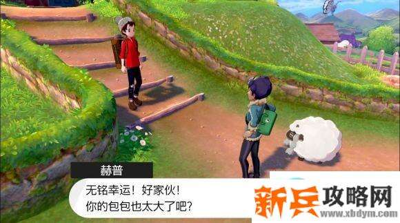 宝可梦剑盾《PokemonSwordShield》(剑)图文攻略