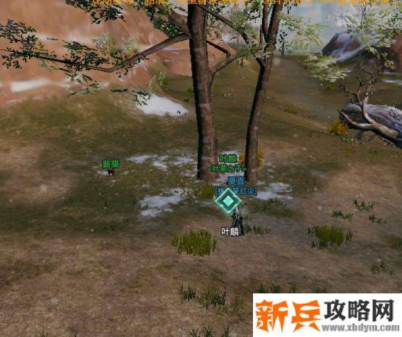 剑网三莫贪杯雀斑宠物奇遇攻略