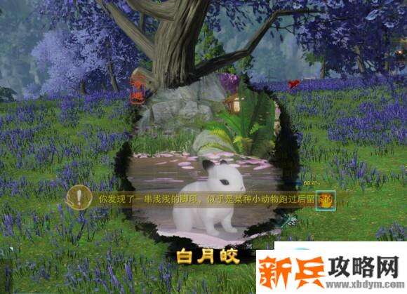 剑网三白月皎（小小苏）奇遇简单攻略