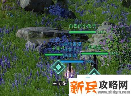 剑网三白月皎（小小苏）奇遇简单攻略