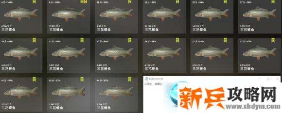 俄罗斯钓鱼4《RussianFishing4》三花鲤鱼攻略