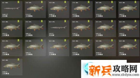 俄罗斯钓鱼4《RussianFishing4》三花鲤鱼攻略