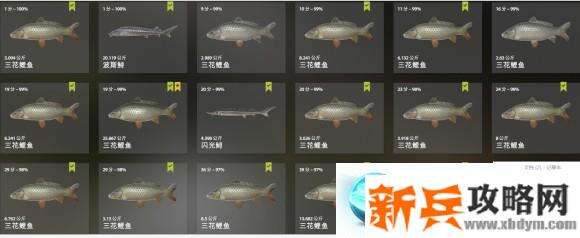 俄罗斯钓鱼4《RussianFishing4》三花鲤鱼攻略