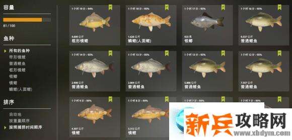 俄罗斯钓鱼4《RussianFishing4》琥珀湖鲤鱼攻略