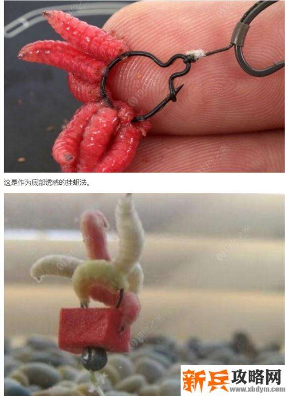 俄罗斯钓鱼4《RussianFishing4》Maggot钓组攻略