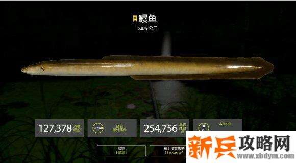 俄罗斯钓鱼4《RussianFishing4》钓点攻略